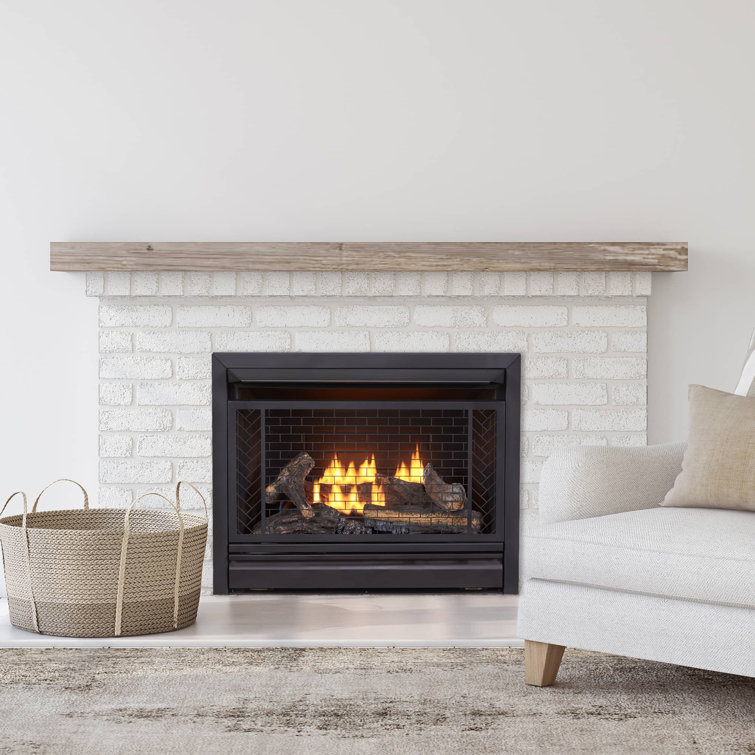 Bluegrass Living Vent Free Natural Gas Fireplace Insert Only Wayfair